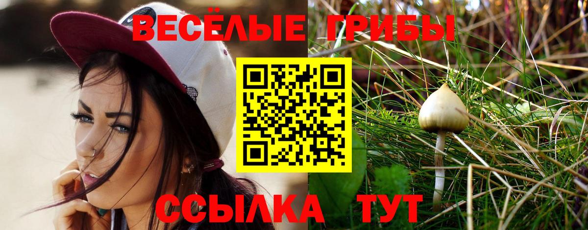 Галлюциногенные грибы Cubensis Балтийск